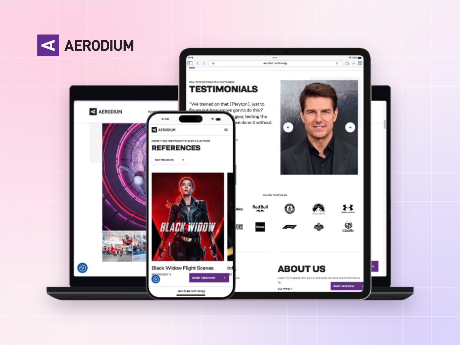 Aerodium Technology — website and continuous support